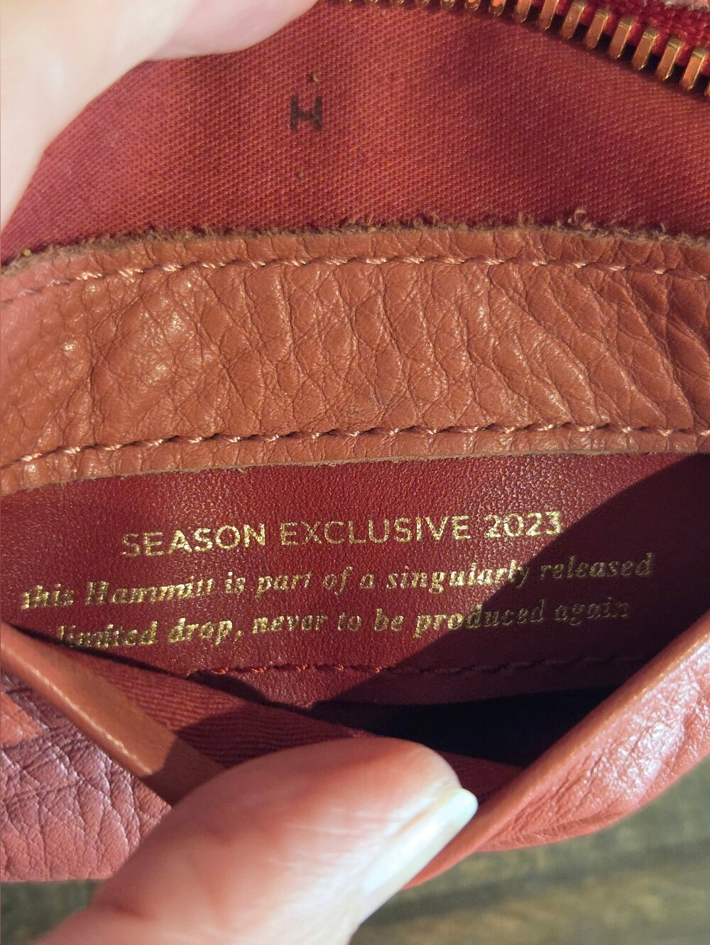 Hammitt Kayce Saddle Med Crossbody - RARE Rouge Pink & Brushed Gold-2023 - Picture 14 of 16